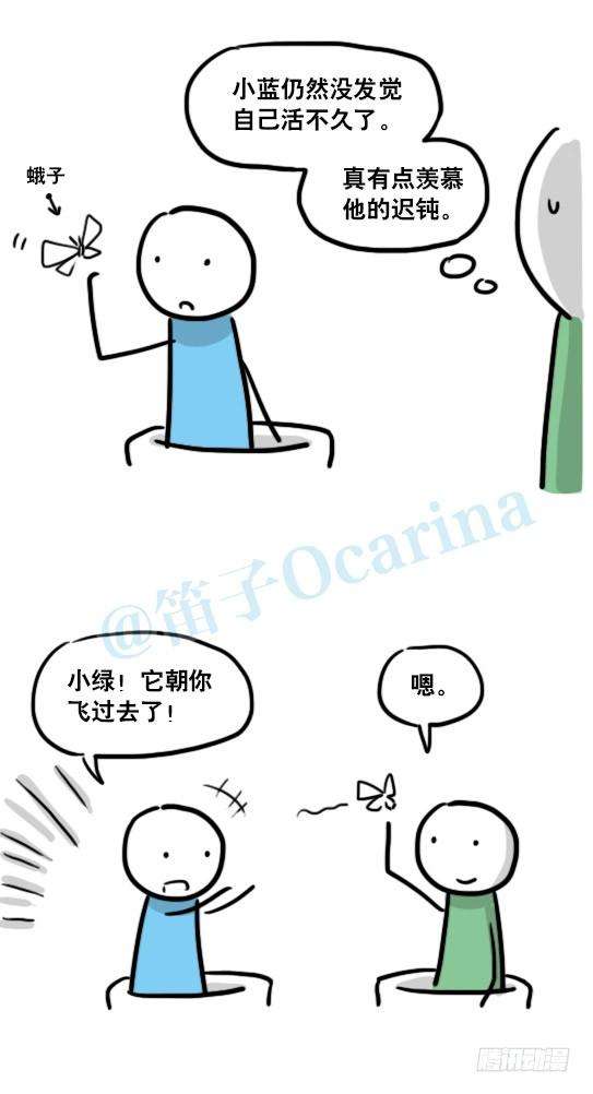 17.jpg