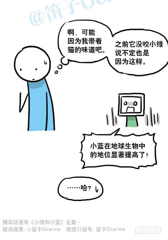 117.jpg