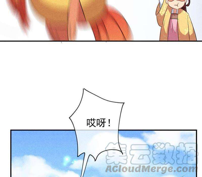 77.jpg