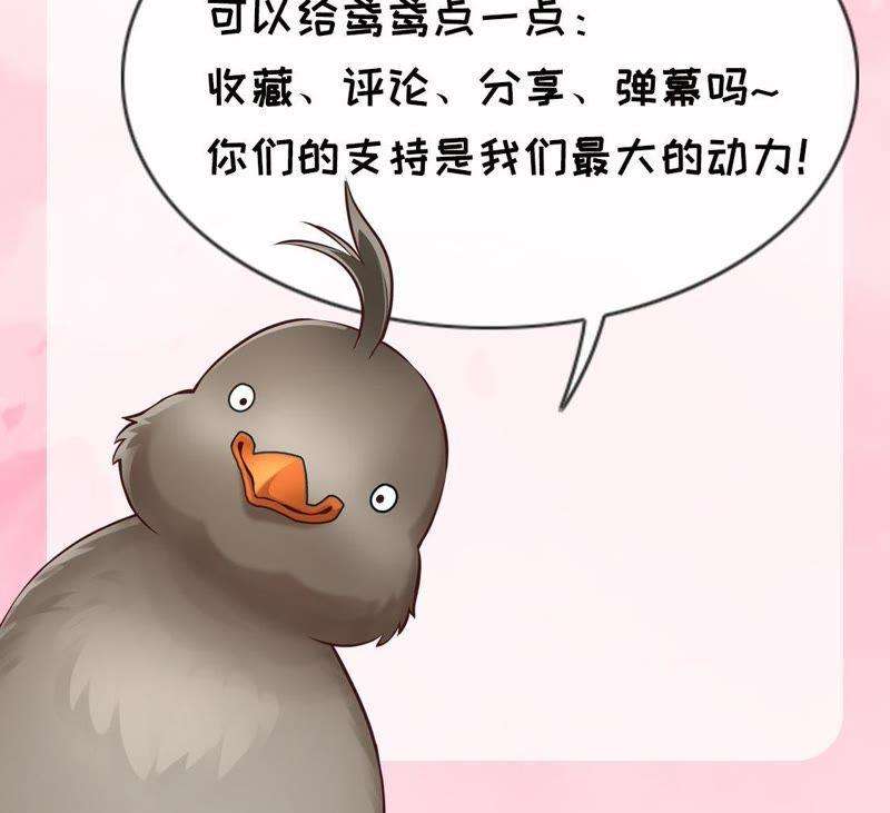 97.jpg