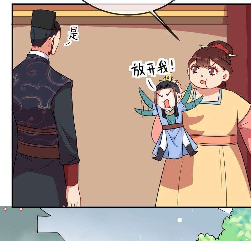 48.jpg