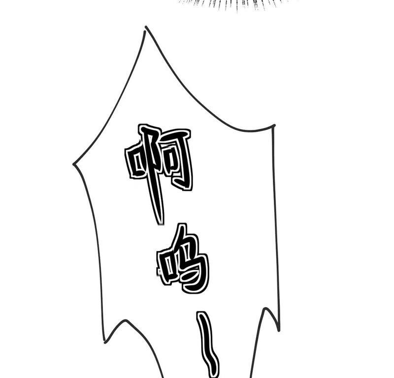 63.jpg