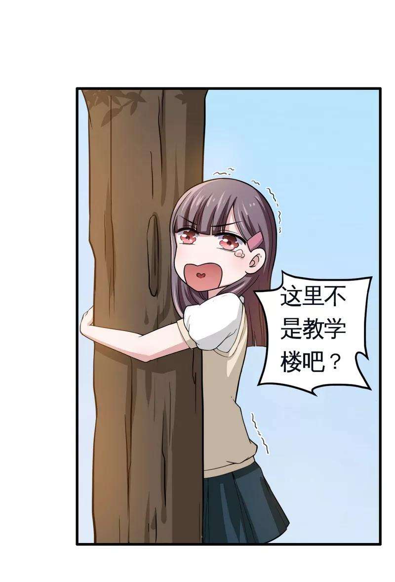 20.jpg