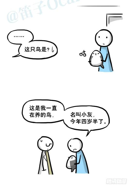88.jpg