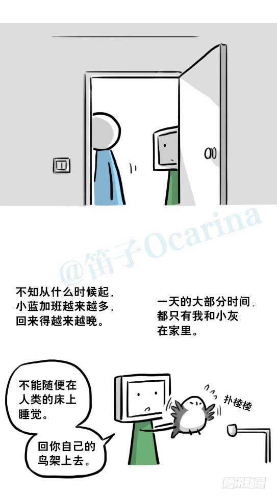 80.jpg