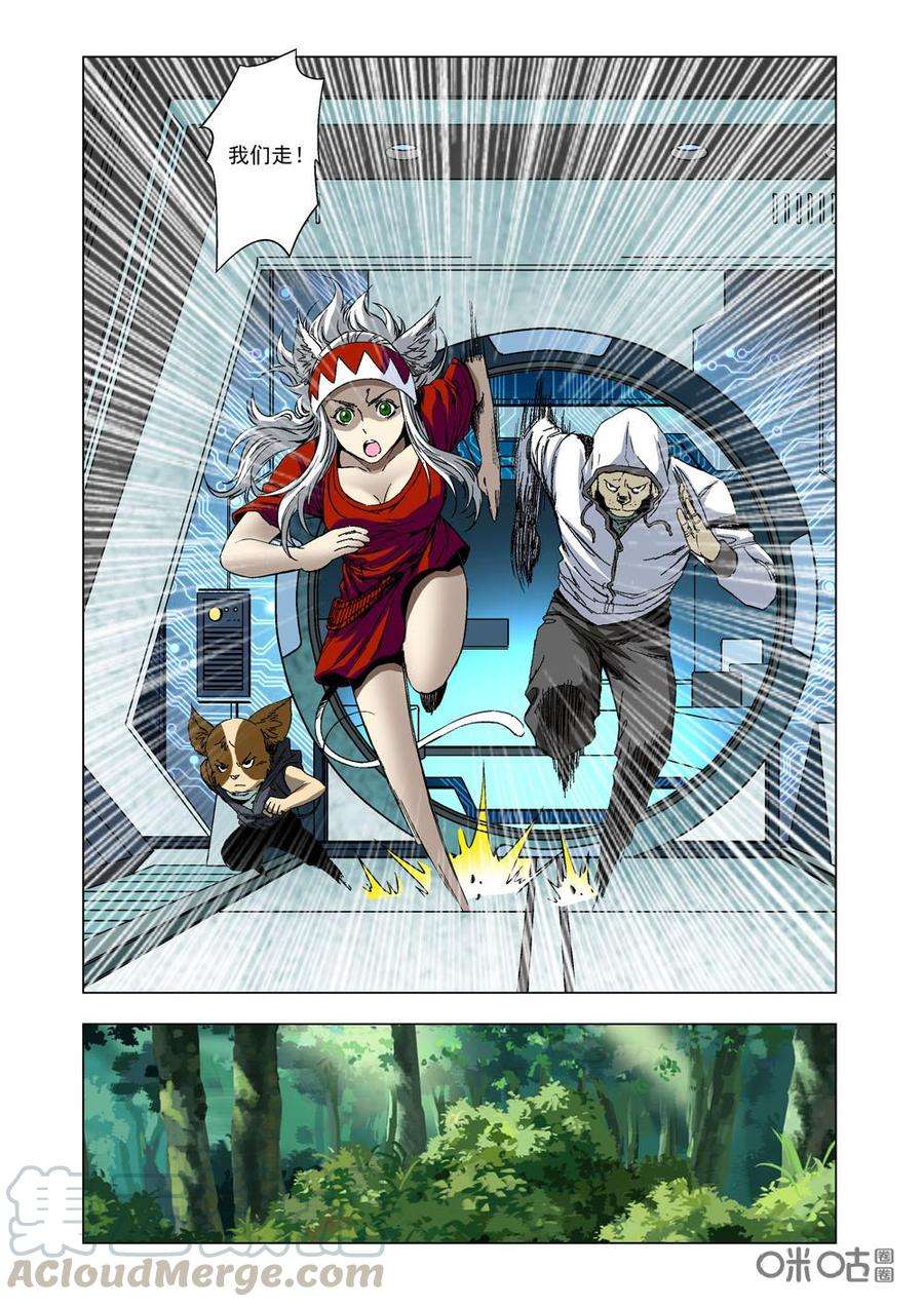 9.jpg