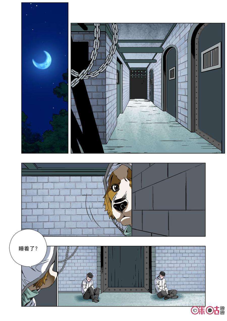 11.jpg