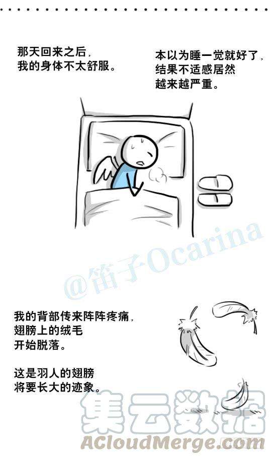 91.jpg