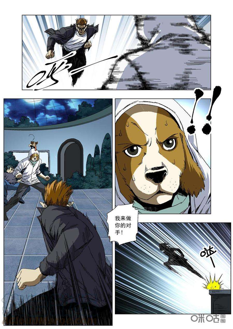 4.jpg