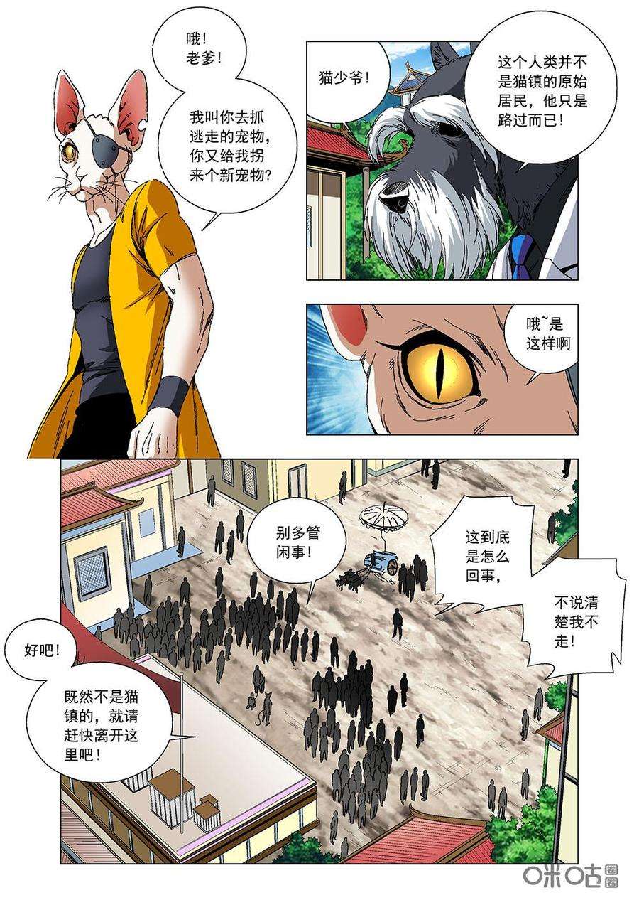 15.jpg