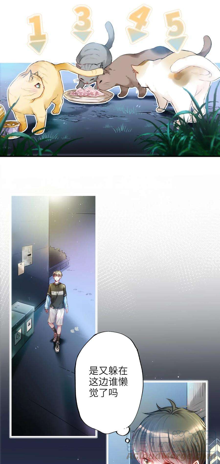 22.jpg