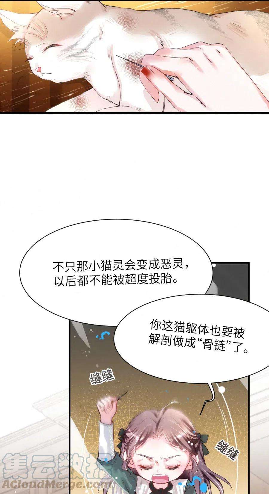 19.jpg