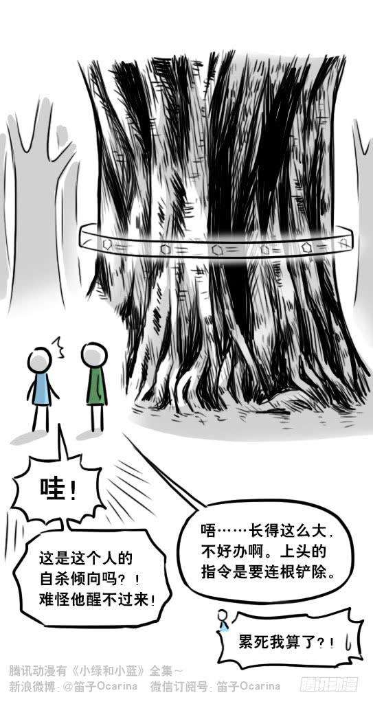 80.jpg