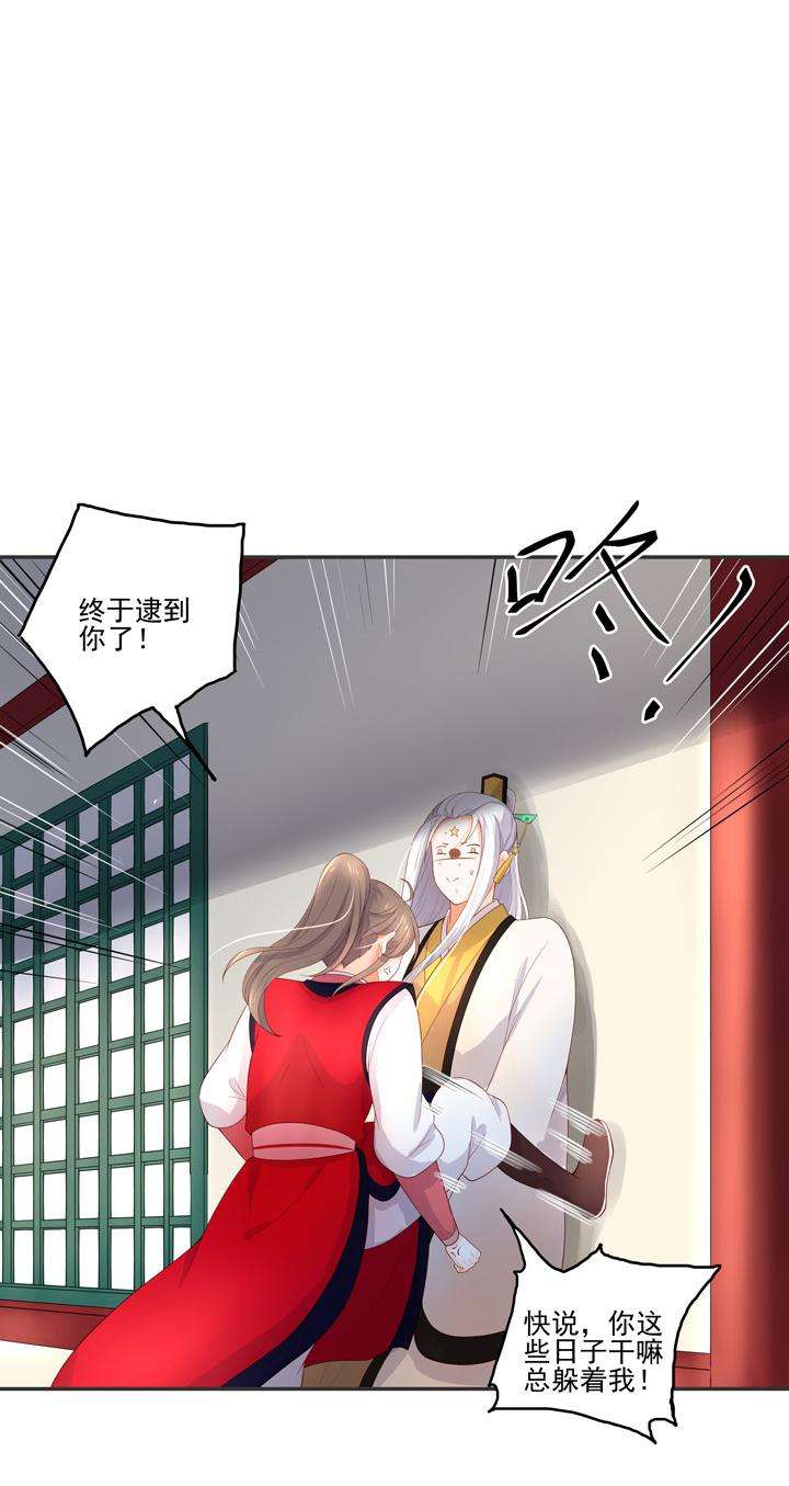 41.jpg