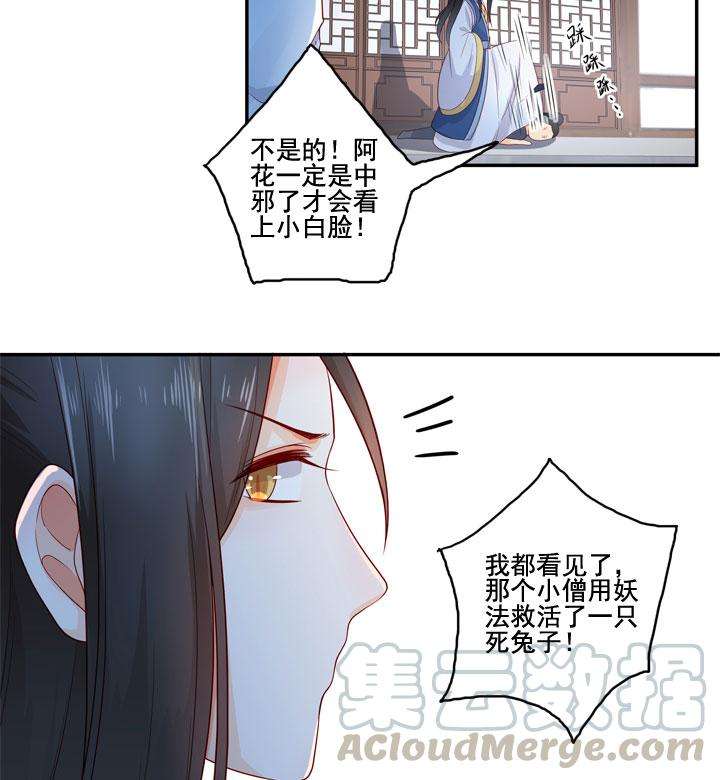 49.jpg