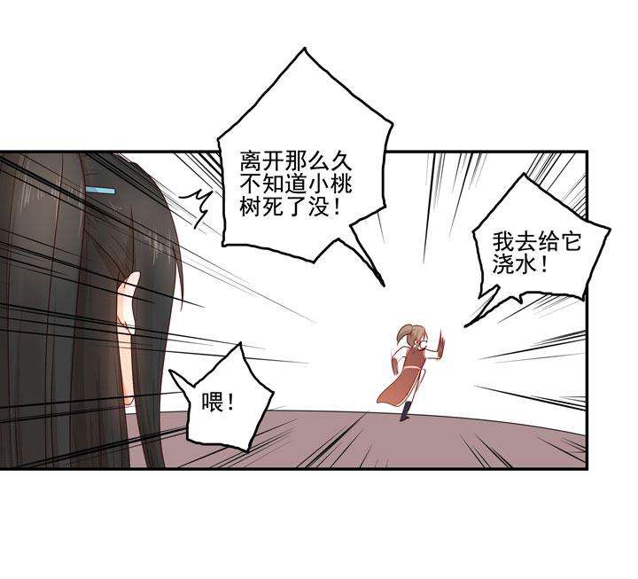 39.jpg