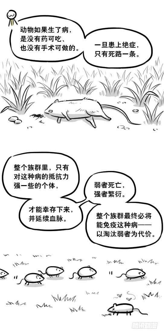 74.jpg