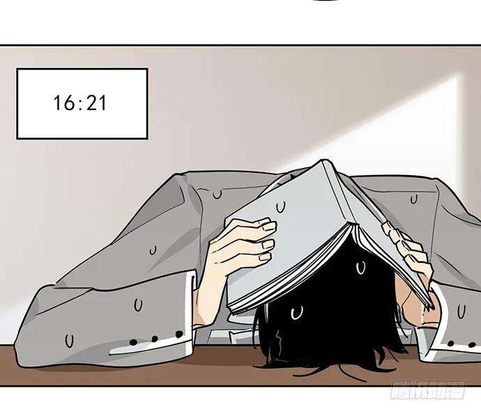 48.jpg