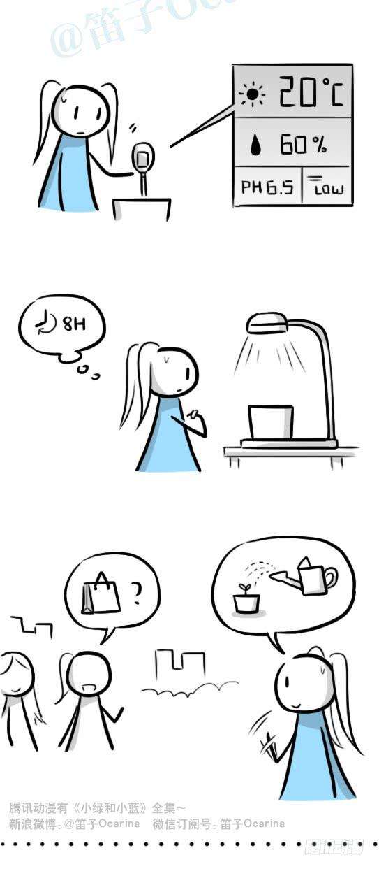 27.jpg