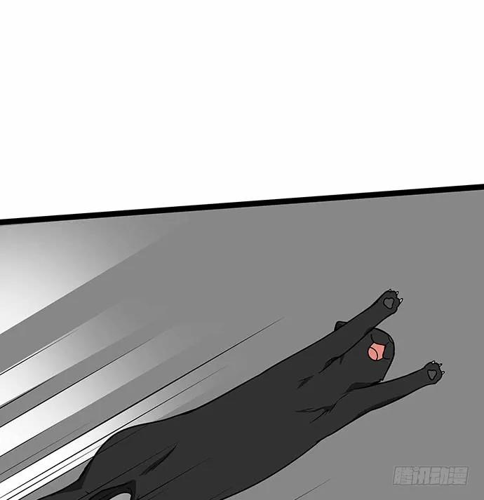 67.jpg
