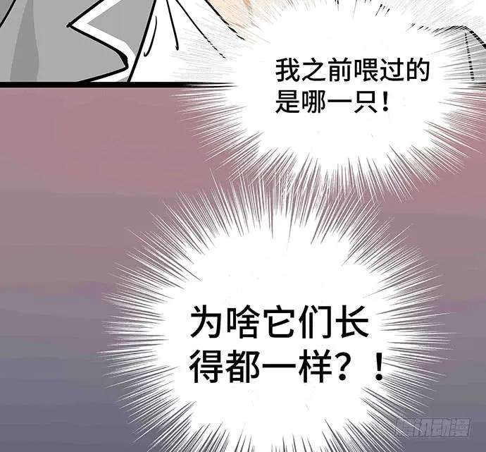 52.jpg