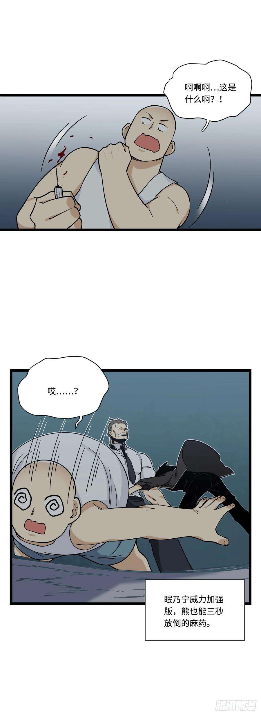 11.jpg