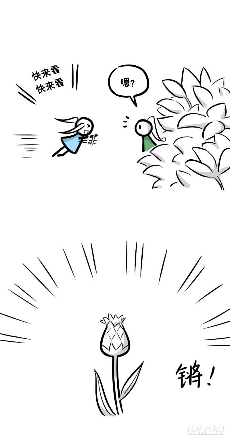 30.jpg