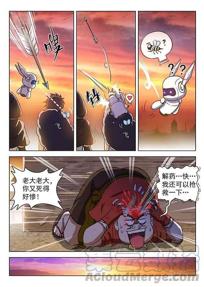 11.jpg