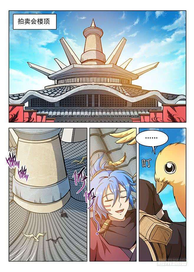 12.jpg