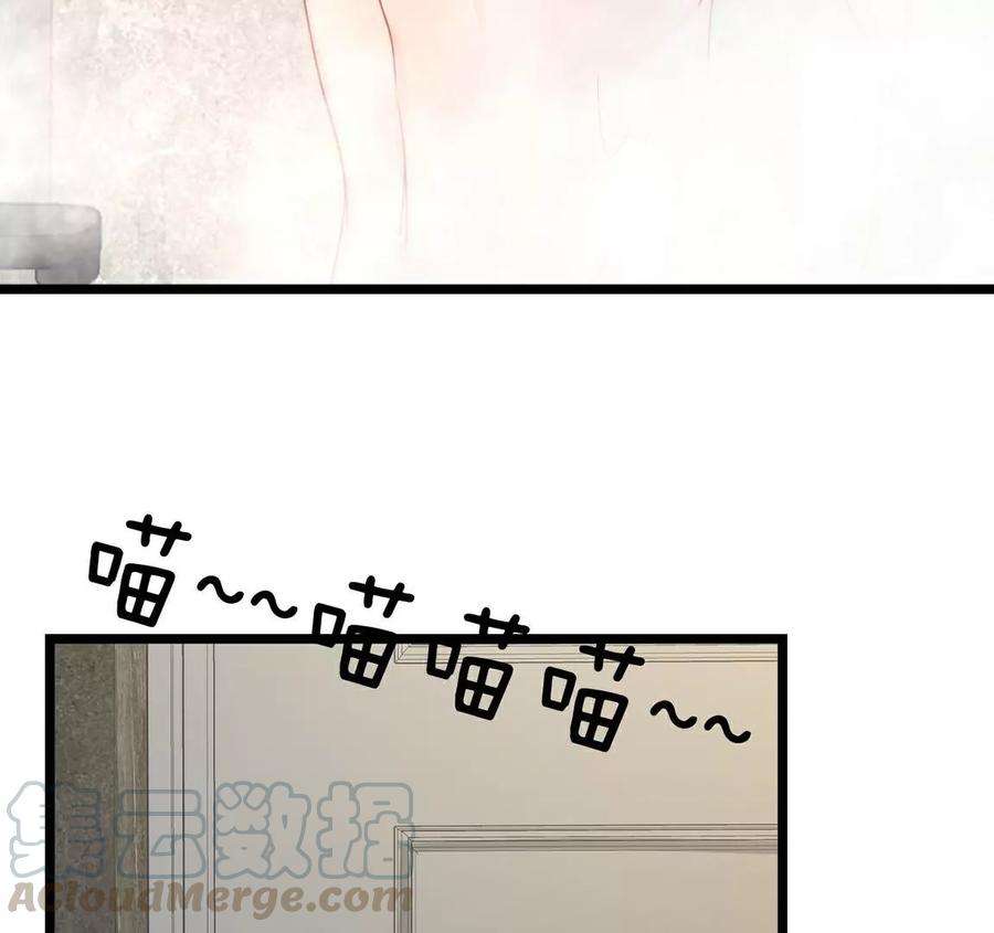 65.jpg
