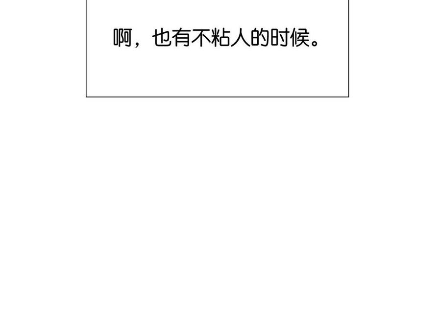 80.jpg