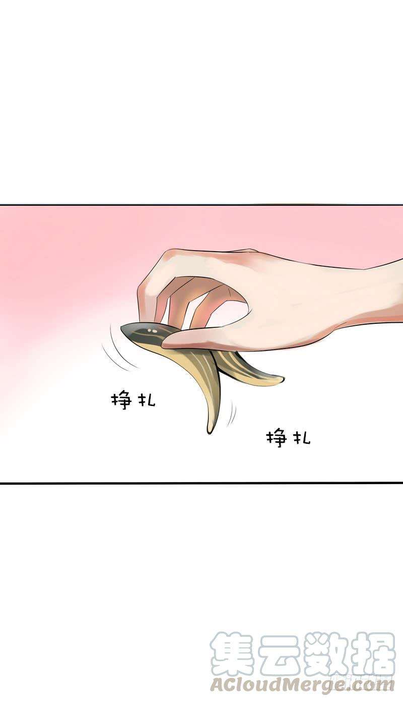 25.jpg