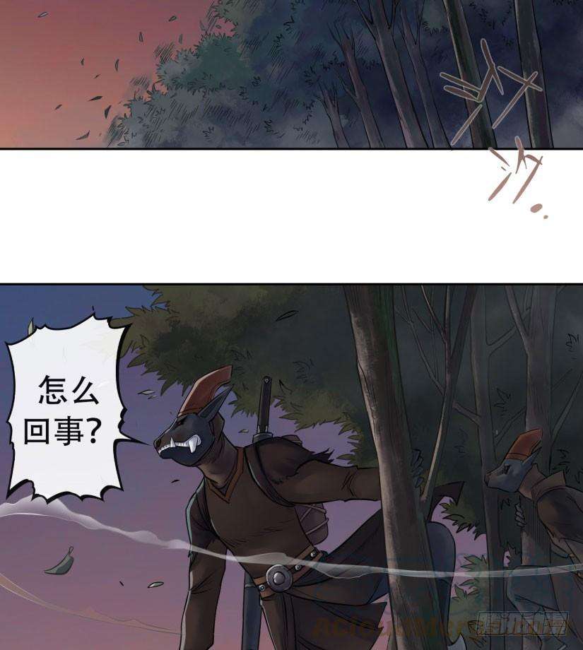 71.jpg