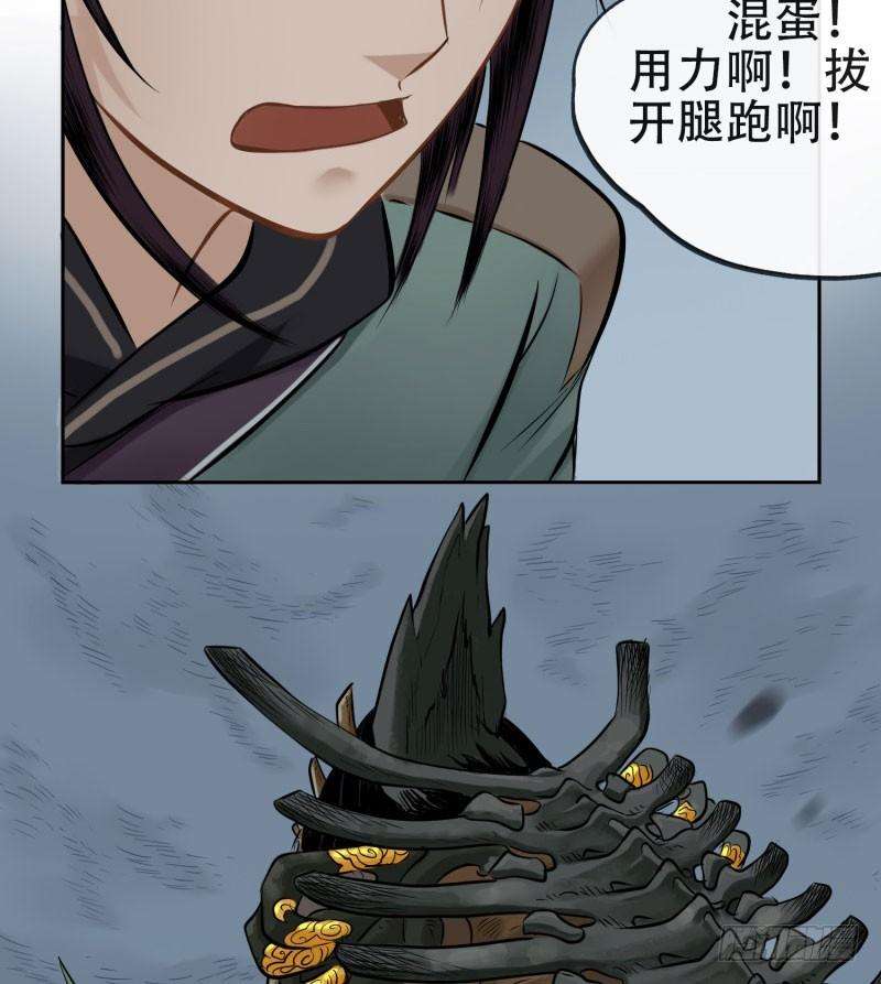 35.jpg