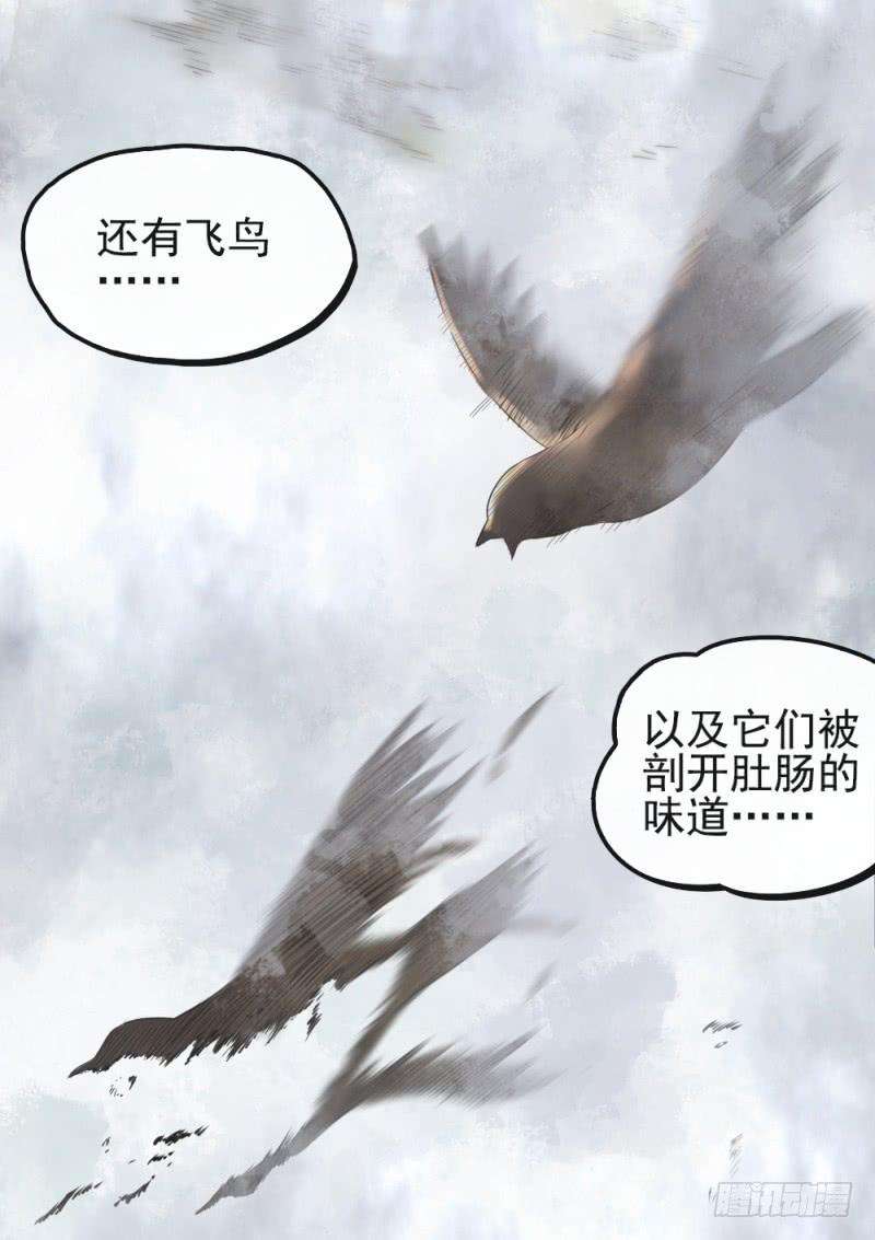 20.jpg