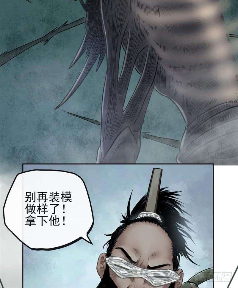 35.jpg
