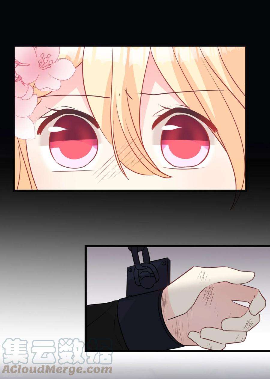 41.jpg