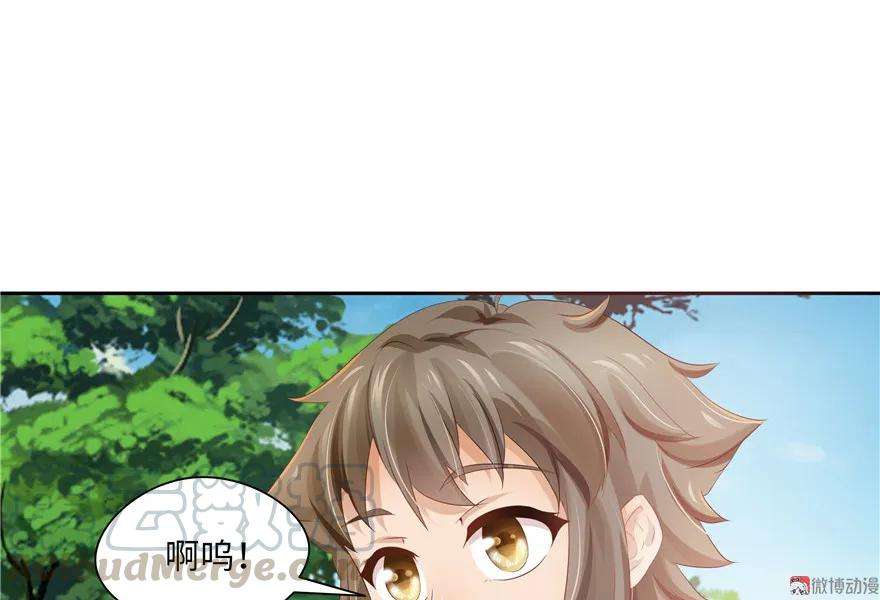 49.jpg