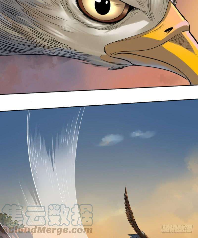 43.jpg