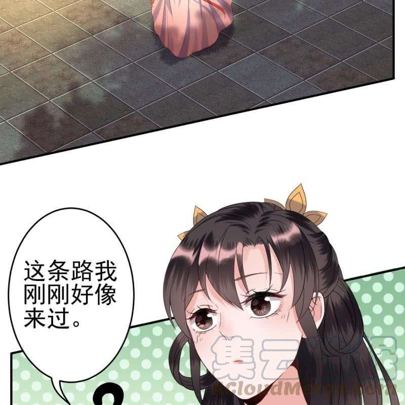 51.jpg