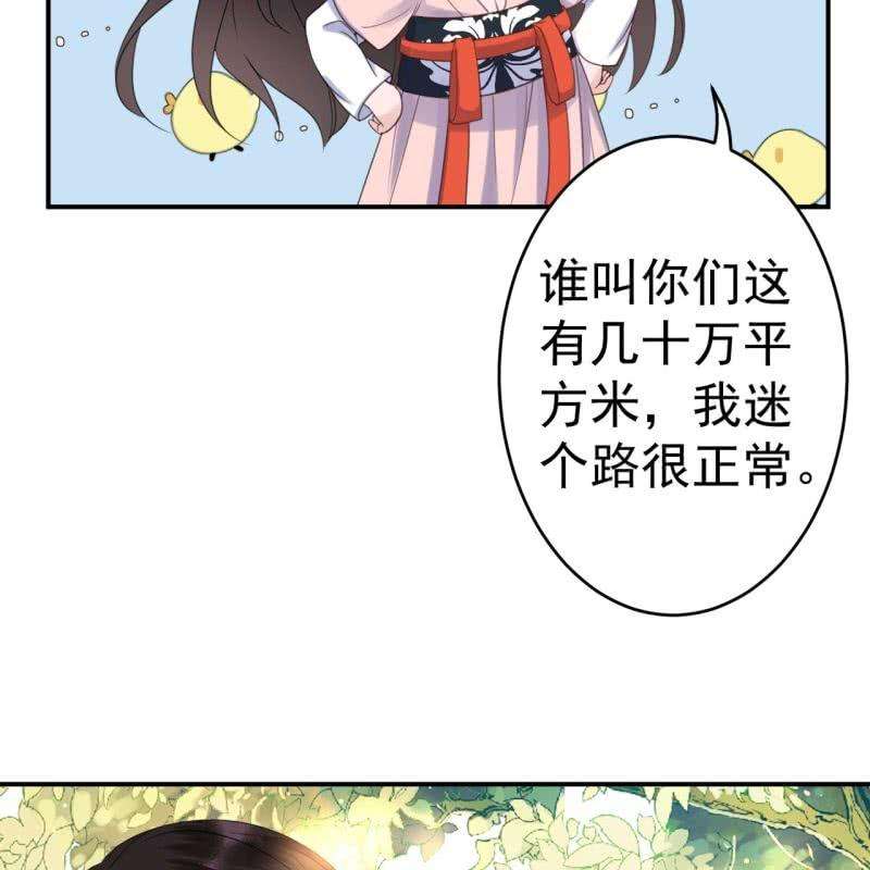 26.jpg