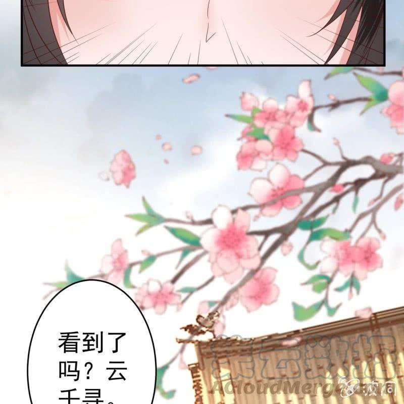 61.jpg