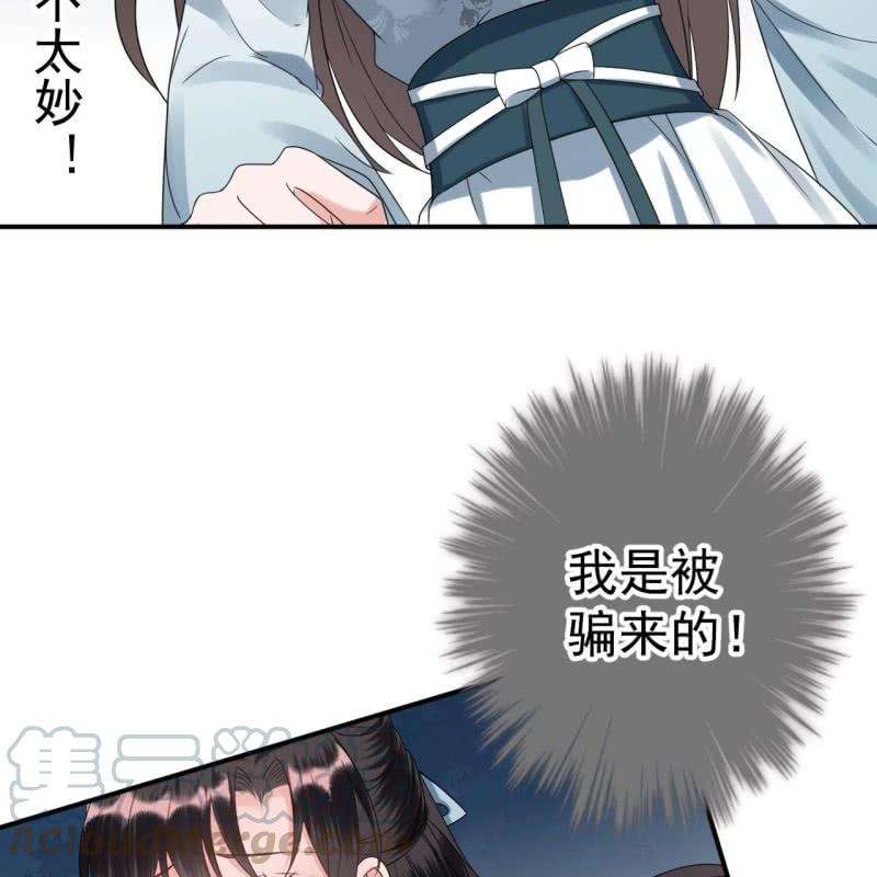 51.jpg