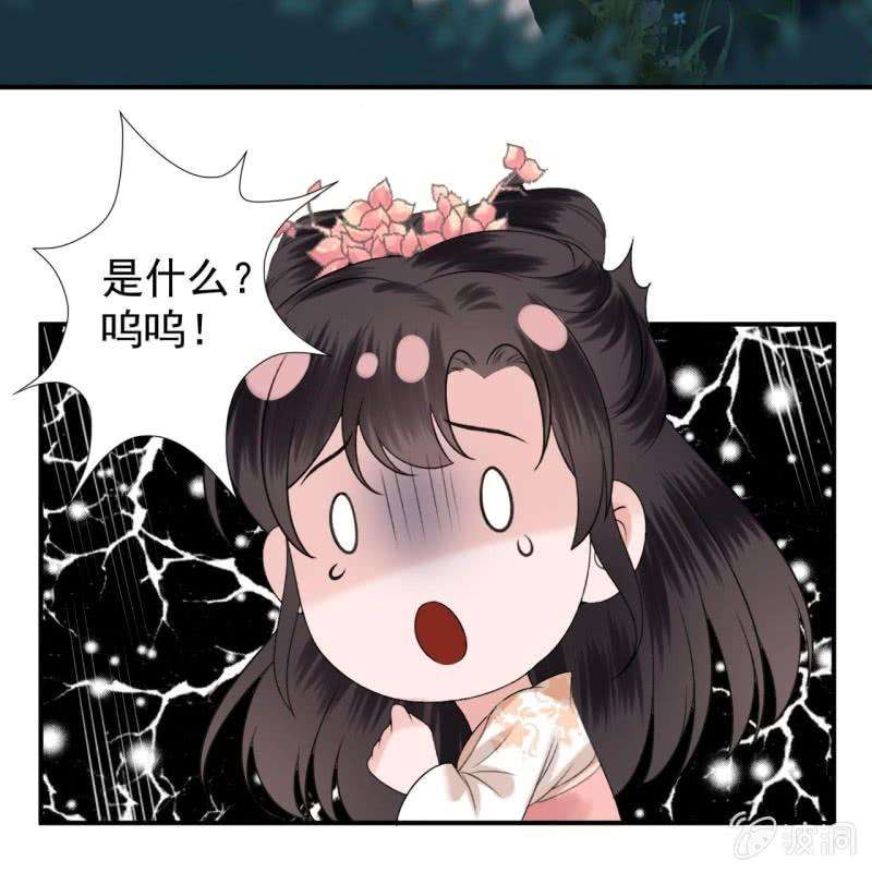 49.jpg