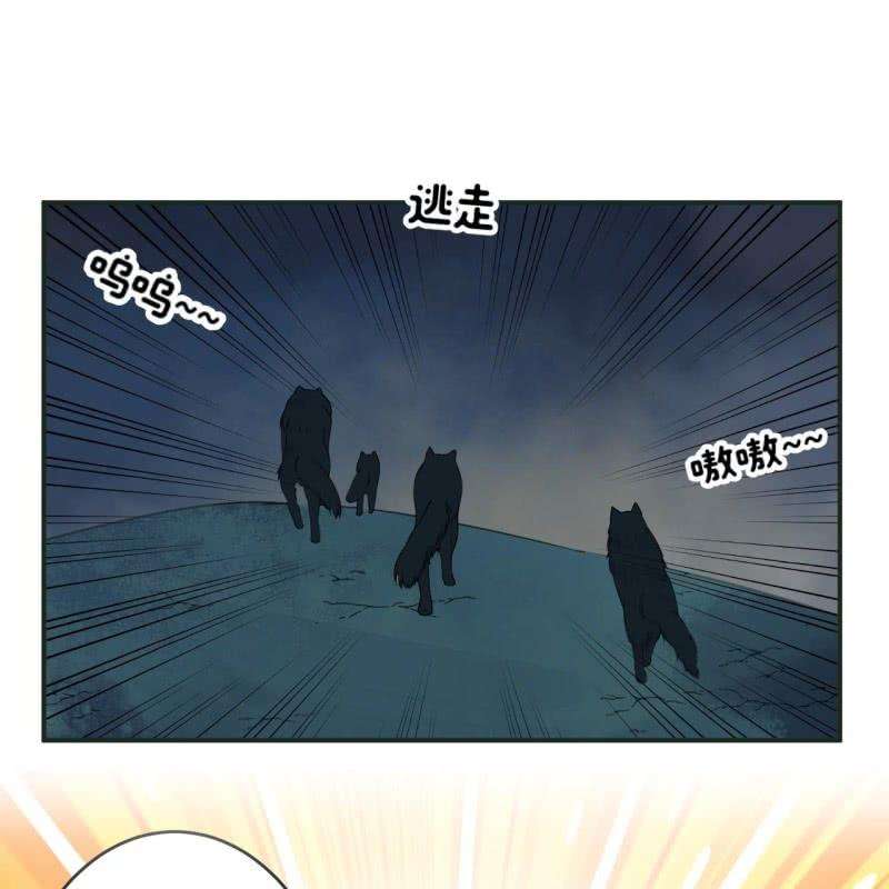 63.jpg