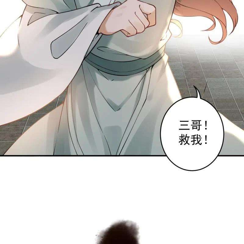 48.jpg