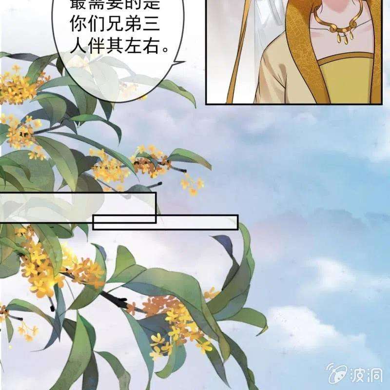 41.jpg