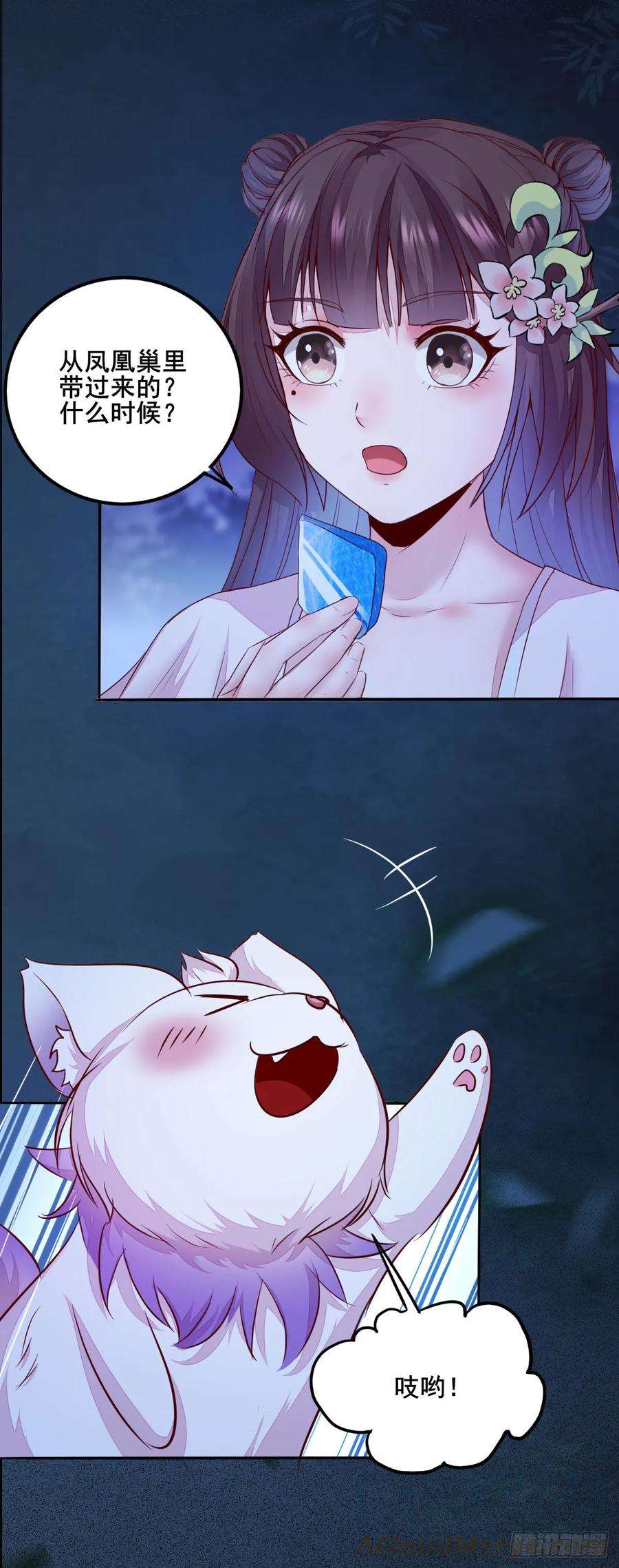 13.jpg
