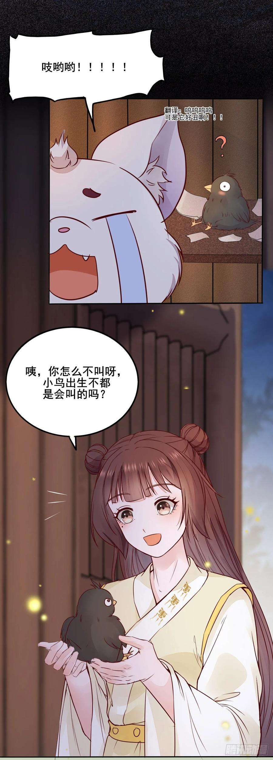 18.jpg