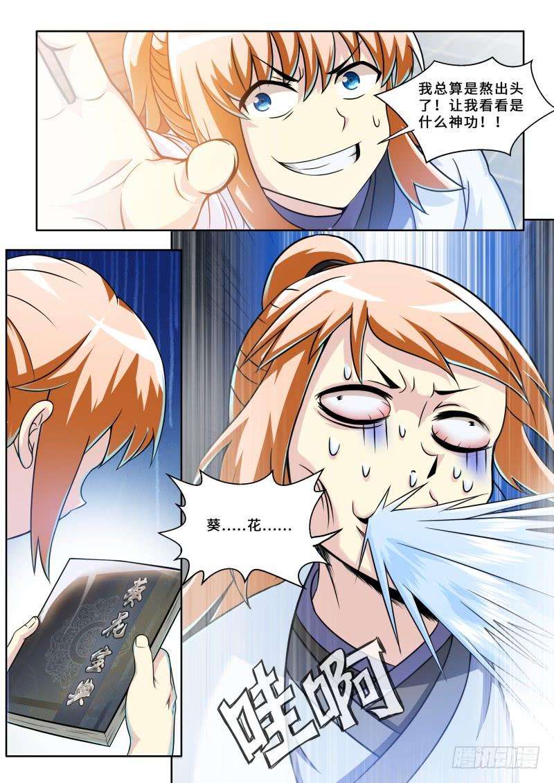 8.jpg
